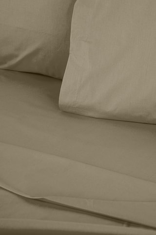Drap-housse en coton renforcé 155 fils/cm² Tonne Verte - Beige