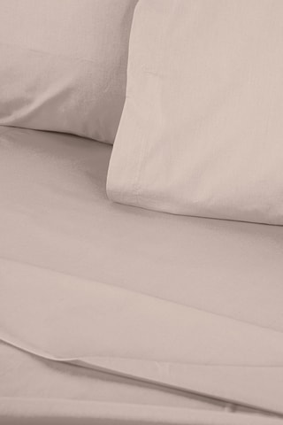 Drap-housse en coton renforcé 145 fils/cm² Tonne Brune - Beige