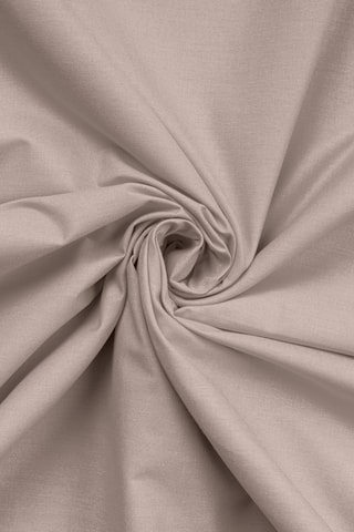 Drap-housse en coton renforcé 145 fils/cm² Tonne Brune - Beige