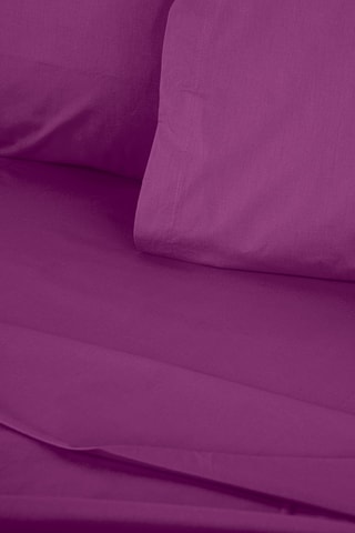 Drap plat en coton renforcé 155 fils/cm² Tonne Viole - Violet