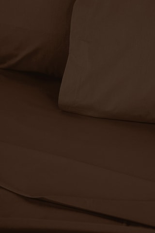 Drap plat en coton renforcé 155 fils/cm² Tonne Brune - Marron foncé