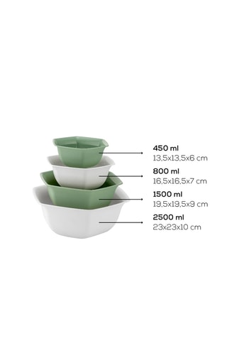 4 bols - 450, 800, 1500 et 2500 ml