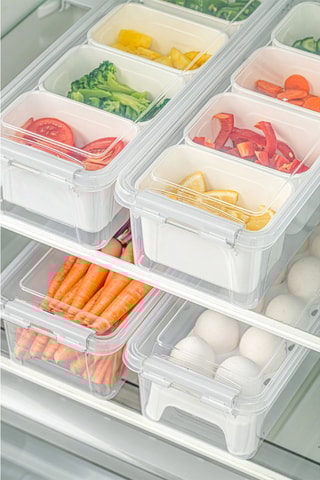 4 boîtes de conservation en plastique sans BPA - 250, 450, 2500 et 3500 ml