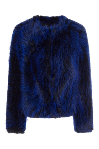 Veste - Bleu roi