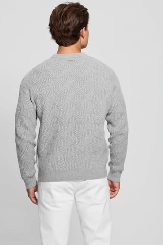 Pull Wesley - Gris clair