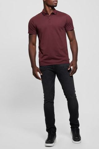 Polo Quattro - Bordeaux