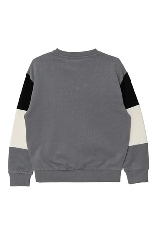 Sweat - Gris et blanc