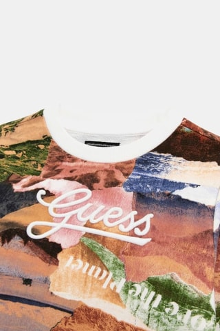 Sweat - Marron et vert