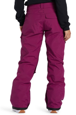 Pantalon de snowboard - Violet - DC Shoes