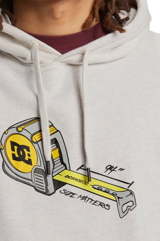 Sweat à capuche - Gris - DC Shoes