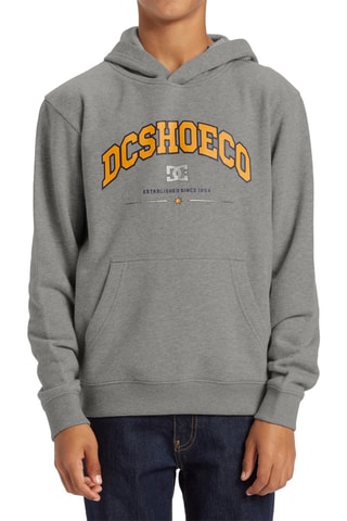 Sweat à capuche - Gris - DC Shoes
