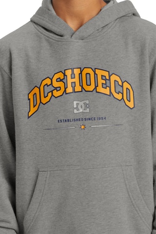 Sweat à capuche - Gris - DC Shoes