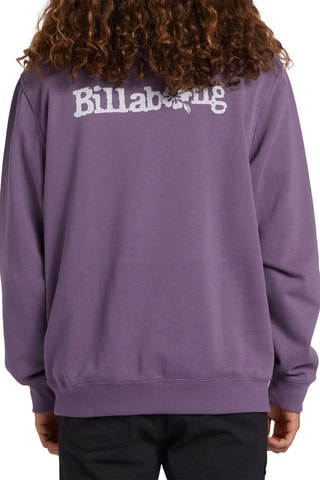 Sweat à capuche - Violet - Billabong