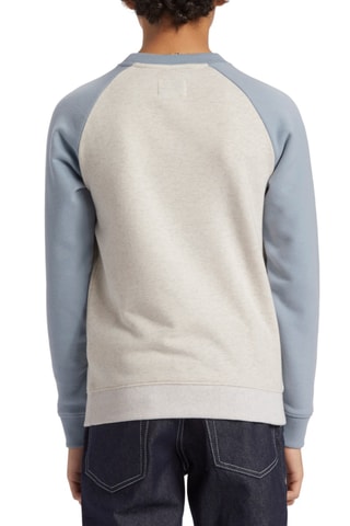 Sweat polaire - Ciel - DC Shoes