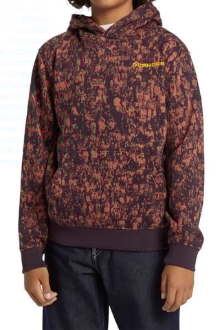 Sweat polaire - Marron - DC Shoes