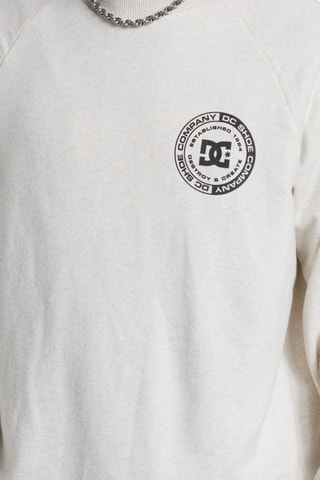 Sweat polaire - Gris clair chiné - DC Shoes