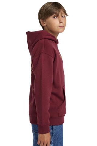 Sweat polaire à capuche - Bordeaux - Element