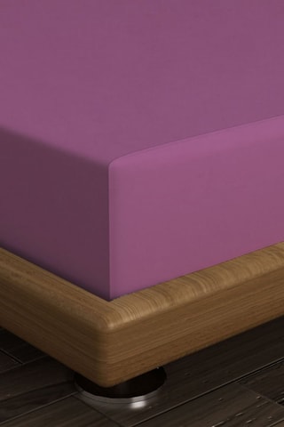 Drap-housse en coton 61 fils/cm² - Violet