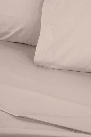 Drap-housse en coton renforcé 145 fils/cm² Tonne Brune - Beige
