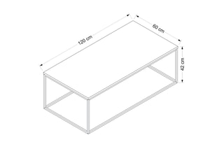 Table basse - 120 x 60 x 42 cm