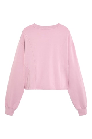 Sweat - Rose