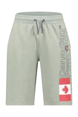 Short Pogoeak - Vert olive