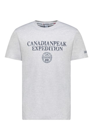 T-shirt Jvickeak - Gris clair chiné