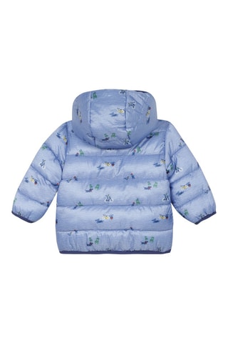 Doudoune à capuche - Bleu marine - Absorba