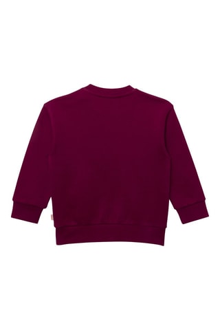Sweat - Violet