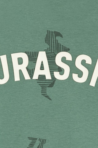 Sweat Jurassic World - Vert - Okaïdi