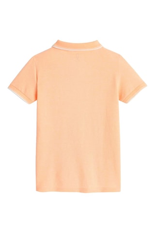 Polo - Rose - Obaïdi