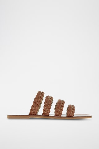 Mules - Camel