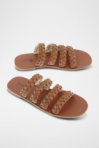 Mules - Camel
