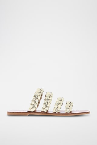 Mules - Dourado