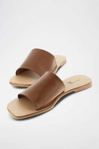 Mules - Camel