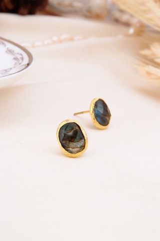 Puces - Labradorites