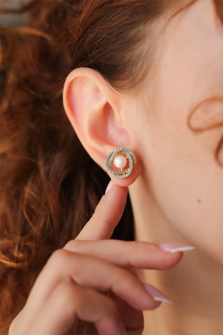 Puces - Zircons