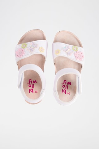 Sandales - Blanc