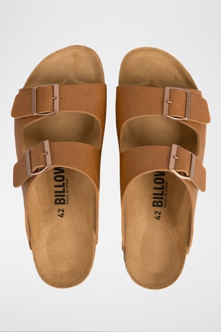 Mules - Camel