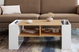 Table basse - 100 x 45 x 60 cm
