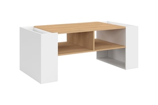 Table basse - 100 x 45 x 60 cm