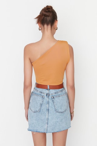 Body Camel