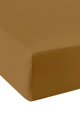 Lençol-capa em percal de algodão 80 fios/cm² - Castanho - Altura 40