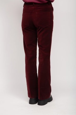 Pantalon - Bordeaux