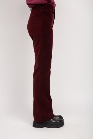 Pantalon - Bordeaux