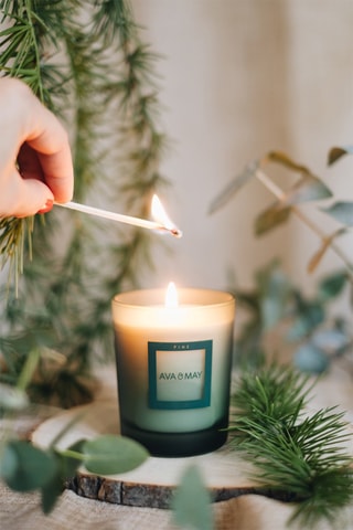 Bougie parfumée Pine - Cèdre, eucalyptus et pin