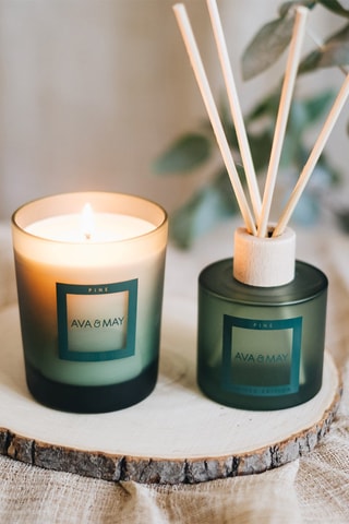 Bougie parfumée Pine - Cèdre, eucalyptus et pin