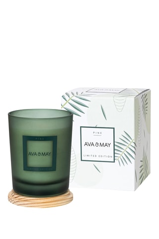 Bougie parfumée Pine - Cèdre, eucalyptus et pin