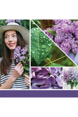 Bougie parfumée jarre grand modèle Signature - Jardin Aux Lilas