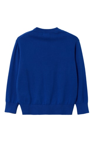 Pull - Bleu